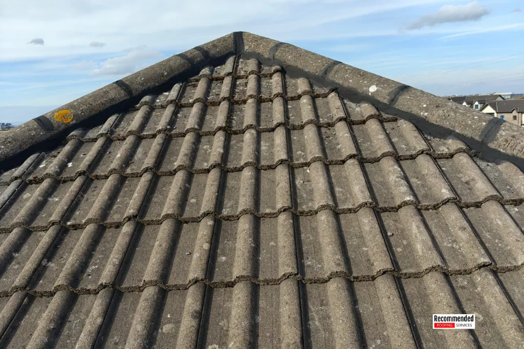 Roof repair services